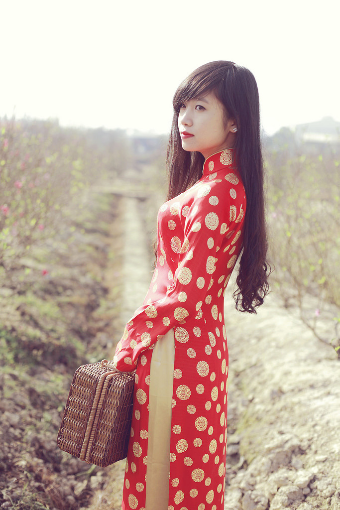 三女片免费观看电视剧杨贵妃传